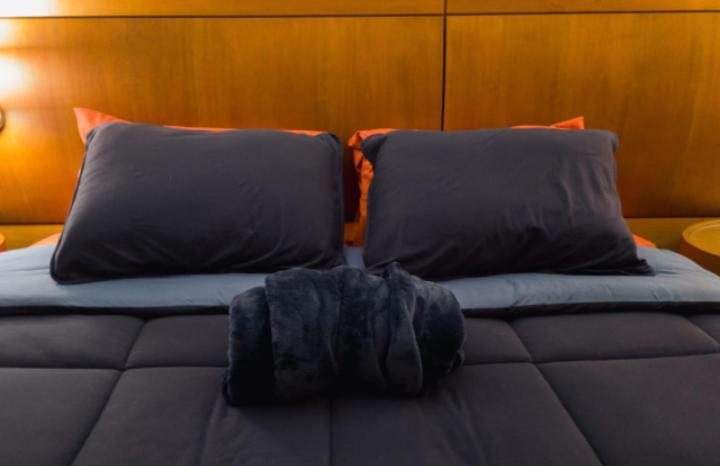 The Best Deluxe - Duplex Studio - Hotel Slav Moema - By Luxxor サンパウロ エクステリア 写真